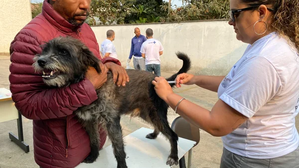Minas Gerais dá início à campanha de vacinação contra a raiva em cães e gatos   