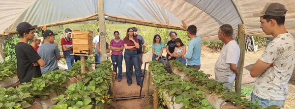 Claraval lidera índice de compra de produtos da agricultura familiar para a alimentação escolar em Minas Gerais