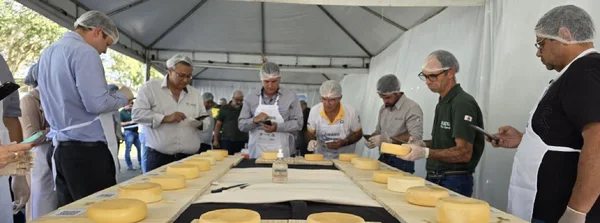 Divulgado o resultado do Concurso Regional do Queijo Minas Artesanal da Canastra