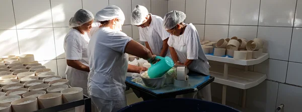 Instituto Mineiro de Agropecuária orienta sobre legalização de alimentos de origem animal 