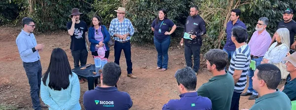 BDMG abre inscrições para capacitação gratuita em agricultura regenerativa com foco em pecuária bovina e pastagens