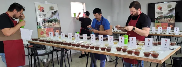 Inscrições para o 20º Concurso de Qualidade do Café da região de Manhuaçu estão abertas