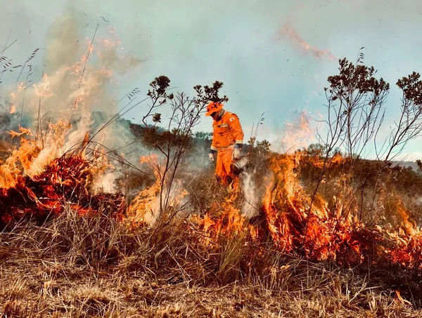 Defesa Civil de Minas alerta para riscos de incêndios até domingo (24/8)