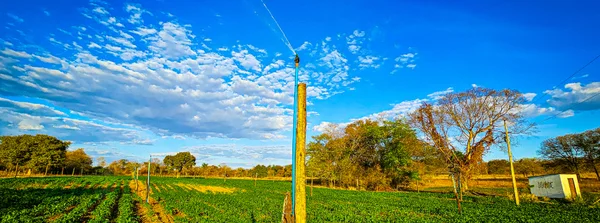 Nova Lei estimula produtores rurais de Minas Gerais a irrigar pela primeira vez