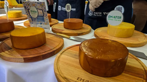 Governo de Minas anuncia os vencedores do Concurso Estadual dos Queijos Artesanais