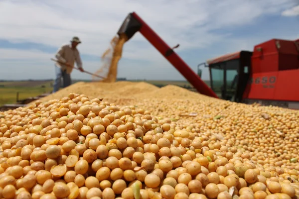 PIB de Minas Gerais cresce 1,2% e soma R$ 305,4 bilhões no segundo trimestre de 2025