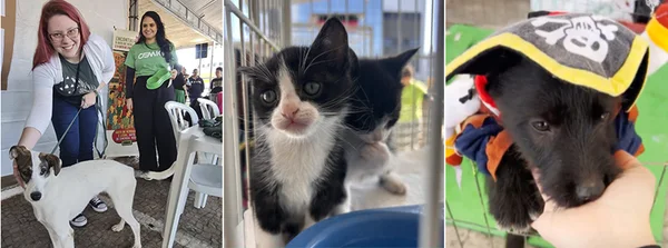 Feiras de adoção de animais promovidas pela Cemig são sucesso em todo o estado