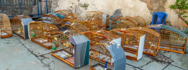 Operação Libertas resgata 337 animais em Minas com participação da Semad
