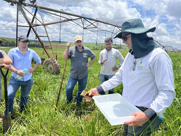 Produtores rurais projetam ampliar produtividade e reduzir custos após capacitação em pecuária sustentável do BDMG