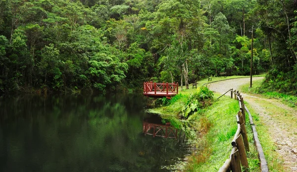Instituto Estadual de Florestas divulga lista de autorizados a comercializar alimentos no Parque da Serra do Brigadeiro