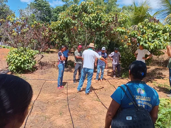 Kits irrigação doados pelo Idene vão impulsionar a produção de hortaliças em Verdelândia
