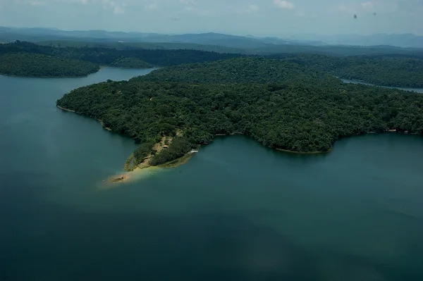 Instituto Estadual de Florestas cria grupo de trabalho para acelerar metas da Mata Atlântica em Minas