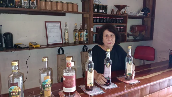 Professora aposentada diversifica produção e potencializa renda para a família em Felixlândia