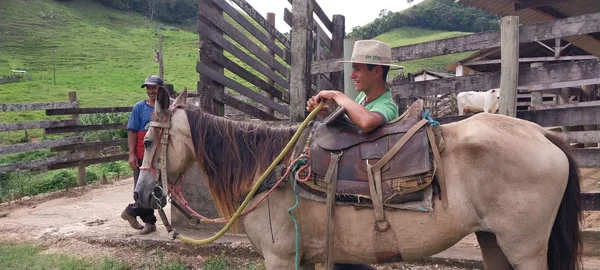 Jovem da região da Zona da Mata investe na pecuária leiteira