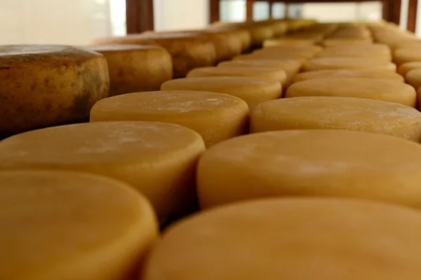Cozinha mineira é destaque em ranking internacional e reforça estado entre os grandes destinos gastronômicos do mundo