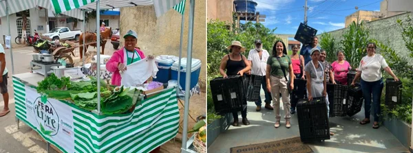 Barraca na feira de Alpercata e caixas plásticas usadas pelos agricultores familiares de São João da Ponte
