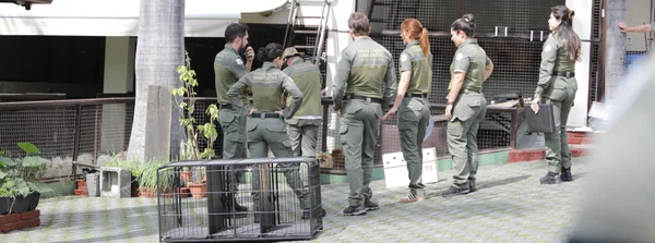 Operação Tráfico Digital combate comércio ilegal de animais e reforça proteção da fauna em Minas Gerais