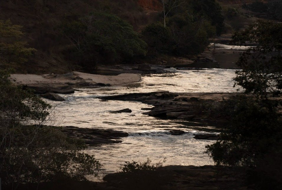 Rio Doce recebe projetos do IEF para recuperar a biodiversidade aquática