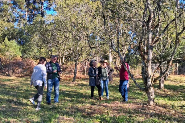 A parceria evidencia o papel do IMA na disseminação de conhecimento sobre certificação agropecuária