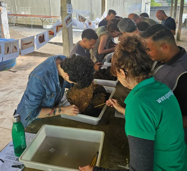 Araponga recebe terceira edição de curso da série Cafeicultura Orgânica da Epamig
