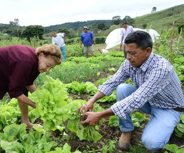Minas Gerais responde por 60% do volume de crédito rural e por 70% das famílias beneficiadas