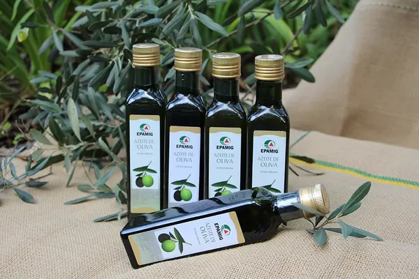 Olivicultura