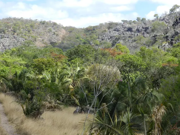 Serra do Cabral