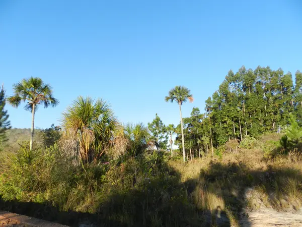 Serra do Cabral