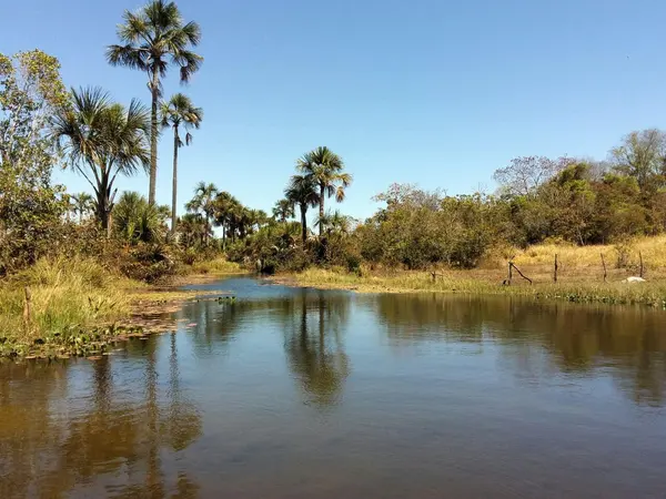 Vale do Peruaçu