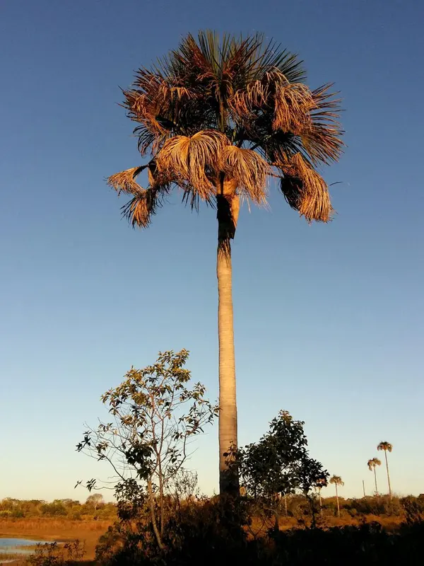 Vale do Peruaçu