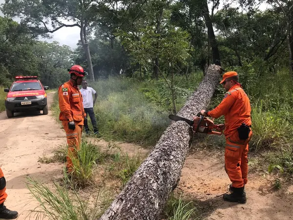 Bombeiros mineiros na Operação Moçambique