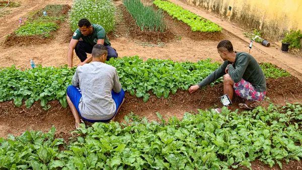 Produção de hortaliças e plantas medicinais contribui para reinserção de jovens do Centro Socioeducativo de Montes Claros