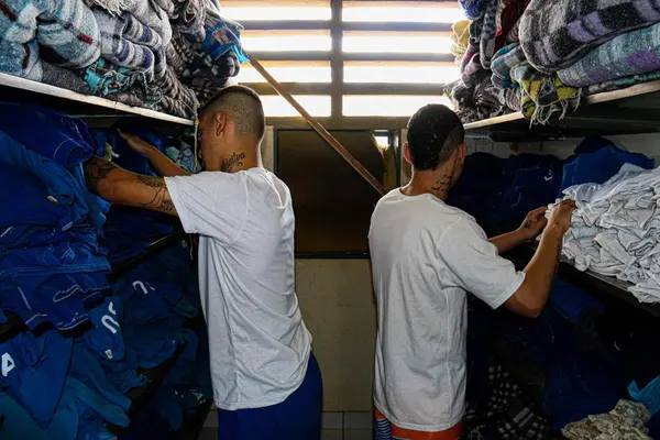 Produção de hortaliças e plantas medicinais contribui para reinserção de jovens do Centro Socioeducativo de Montes Claros