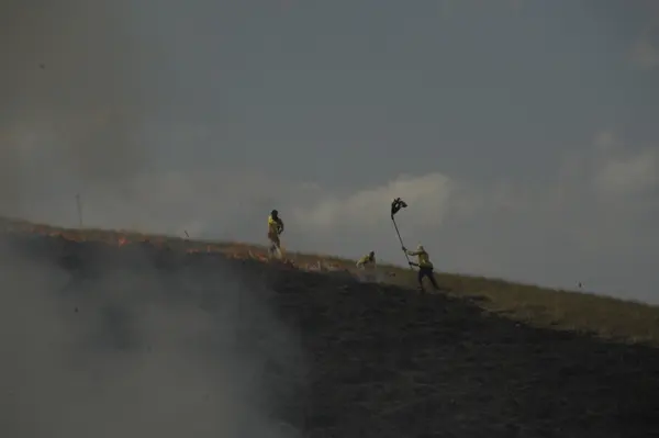 Detentos vão atuar no combate a incêndios florestais em Minas
