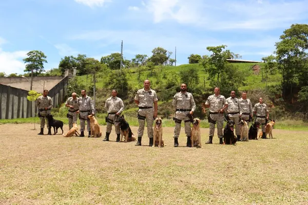 Agentes bons de faro: cachorros ajudam na rotina de segurança das unidades prisionais do Estado