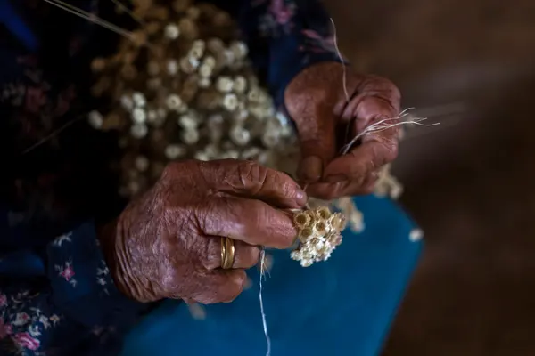 Tradicional coleta de sempre-vivas agora é patrimônio agrícola mundial