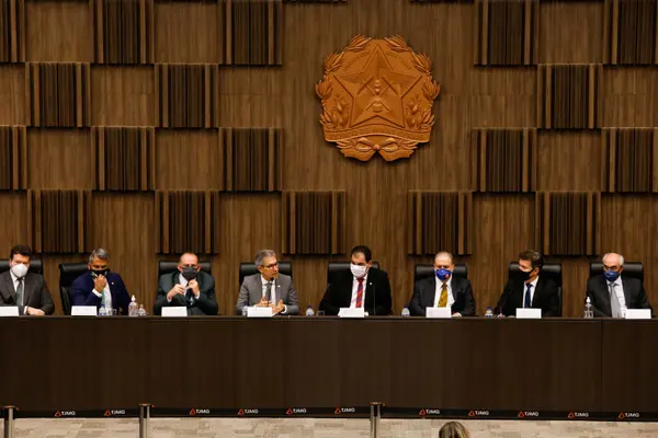 Audiência sobre Reparação dos danos coletivos provocados pelo rompimento de barragem em Brumadinho