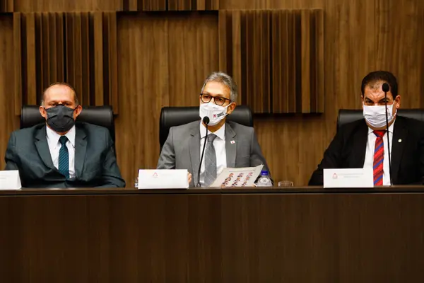 Audiência sobre Reparação dos danos coletivos provocados pelo rompimento de barragem em Brumadinho