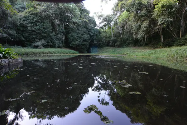 Assinatura de despacho para conclusão da criação do Parque Estadual da Mata do Krambeck em Juiz de Fora