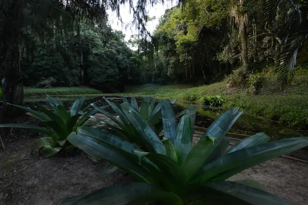 Assinatura de despacho para conclusão da criação do Parque Estadual da Mata do Krambeck em Juiz de Fora