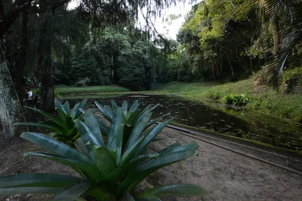 Assinatura de despacho para conclusão da criação do Parque Estadual da Mata do Krambeck em Juiz de Fora