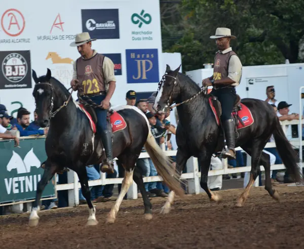 Governador visita a 39ª Exposição Nacional do Cavalo Mangalarga Marchador