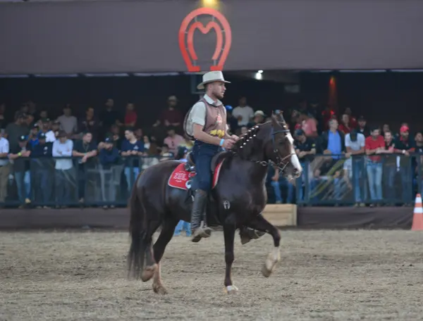 Governador visita a 39ª Exposição Nacional do Cavalo Mangalarga Marchador
