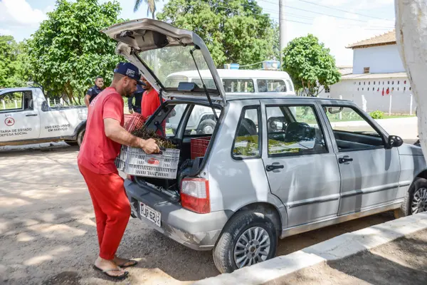 Sistema prisional mineiro doa 100 toneladas de hortaliças produzidas por detentos