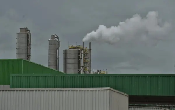 Governador visita fábrica de celulose que já gerou mais de 10 mil empregos no Triângulo Mineiro
