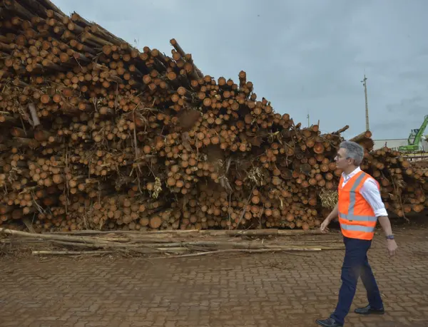 Governador visita fábrica de celulose que já gerou mais de 10 mil empregos no Triângulo Mineiro