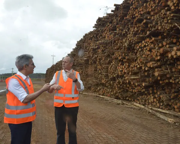 Governador visita fábrica de celulose que já gerou mais de 10 mil empregos no Triângulo Mineiro
