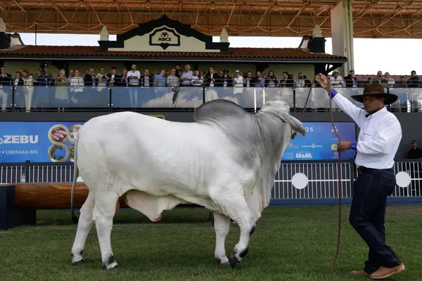 Governador participa da abertura da 88ª edição da Expozebu, em Uberaba