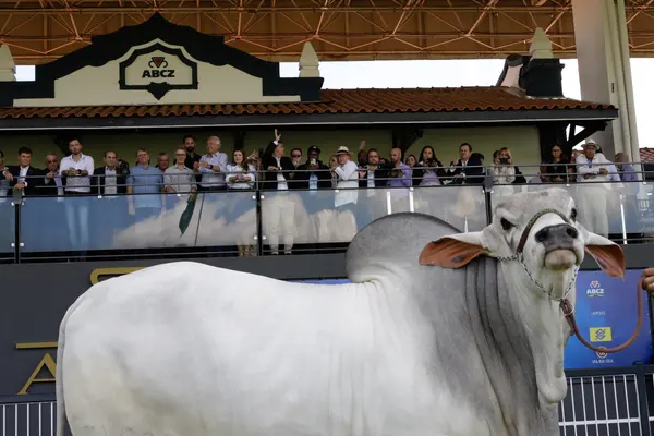Governador participa da abertura da 88ª edição da Expozebu, em Uberaba