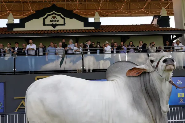 Governador participa da abertura da 88ª edição da Expozebu, em Uberaba